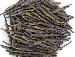 苦丁茶