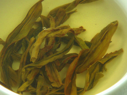 鳳凰単叢桂花香