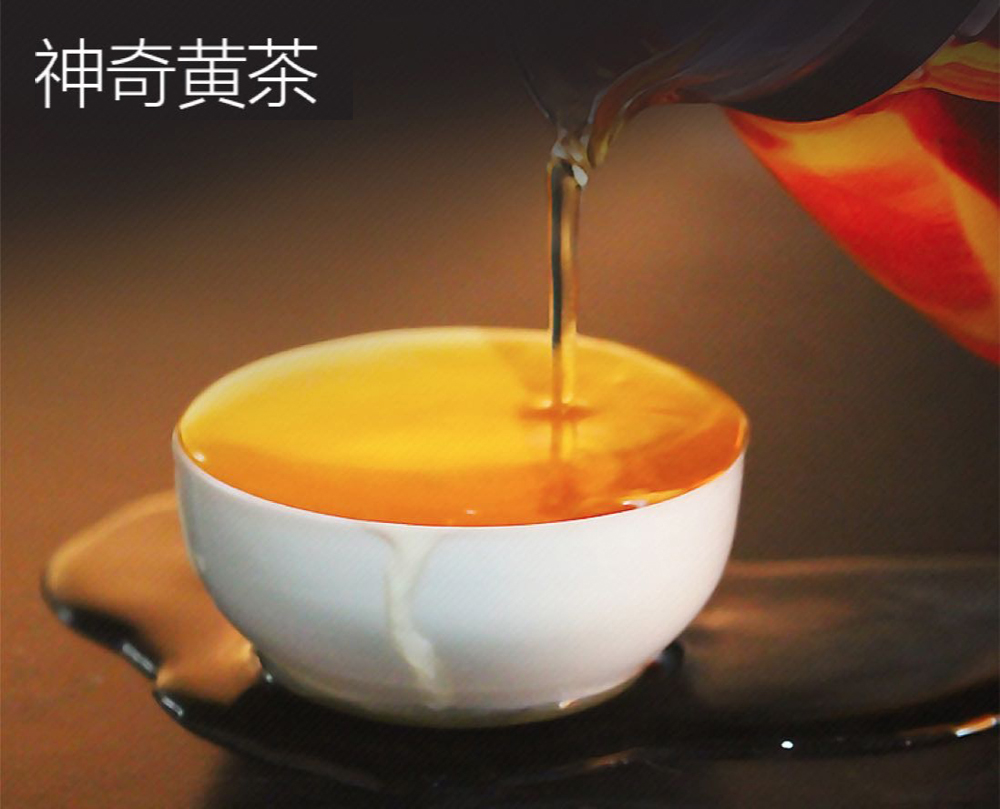 跎R咃
(΍)<br>跎R咃
(΍)